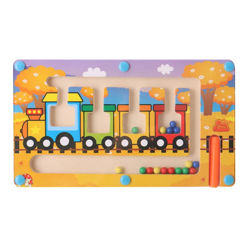 Magnetic Sorting Puzzle – Montessori Maze Learning Toy