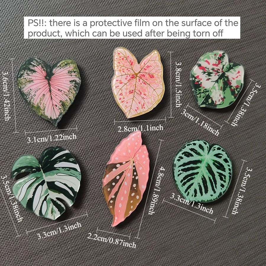 6-Piece Plant Refrigerator Magnets for Fridges and Whiteboards
