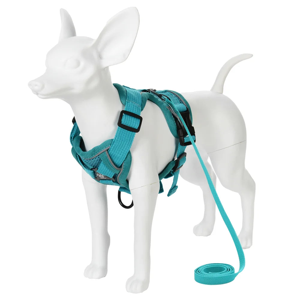 Adjustable Dog Harness Leash Set