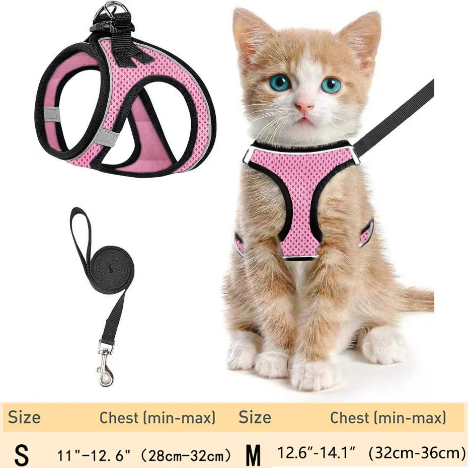 Cat Harness – Adjustable Reflective Harness for Walking