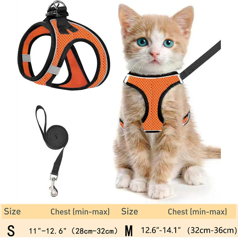 Cat Harness – Adjustable Reflective Harness for Walking