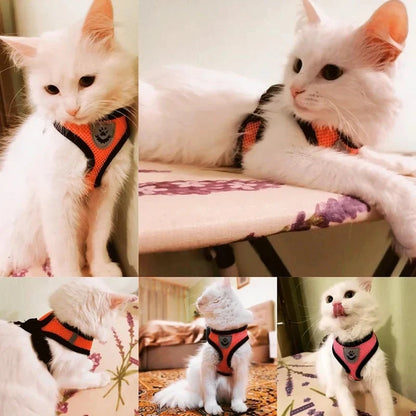 Adjustable Pet Harness with Leash