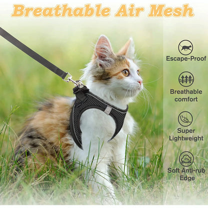 Cat Harness – Adjustable Reflective Harness for Walking