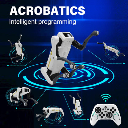RC Robot Dog