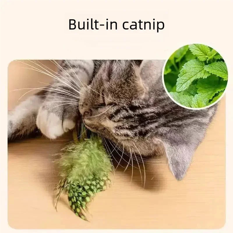 Smart Touch Activated Chirping Bird Cat Toy | Realistic Sound Interactive Self Play Catnip Teaser | Indoor Wall Hanging Cat Toys
