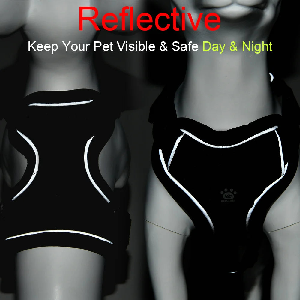 Adjustable Dog Harness Leash Set