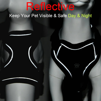 Adjustable Dog Harness Leash Set
