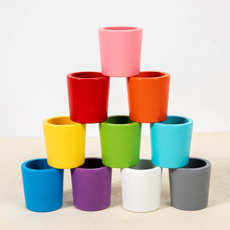 Wooden Color Sorting Toy