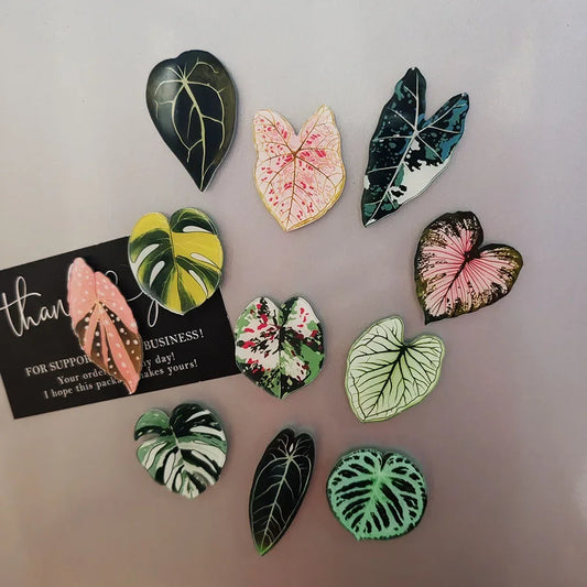6-Piece Plant Refrigerator Magnets for Fridges and Whiteboards