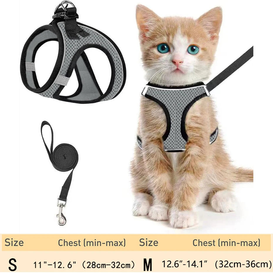 Cat Harness – Adjustable Reflective Harness for Walking