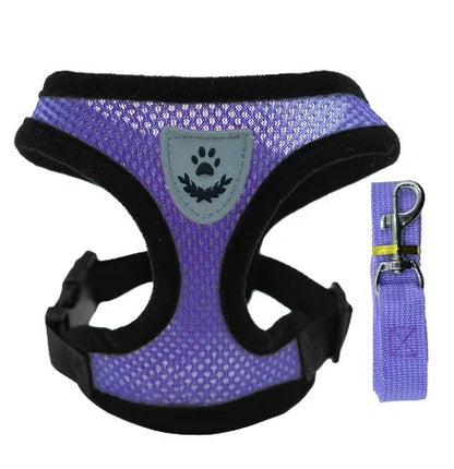 Adjustable Pet Harness with Leash