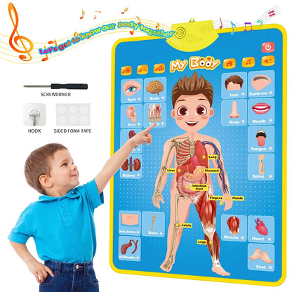 Alphabet Wall Chart
