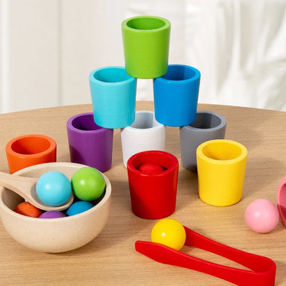 Wooden Color Sorting Toy