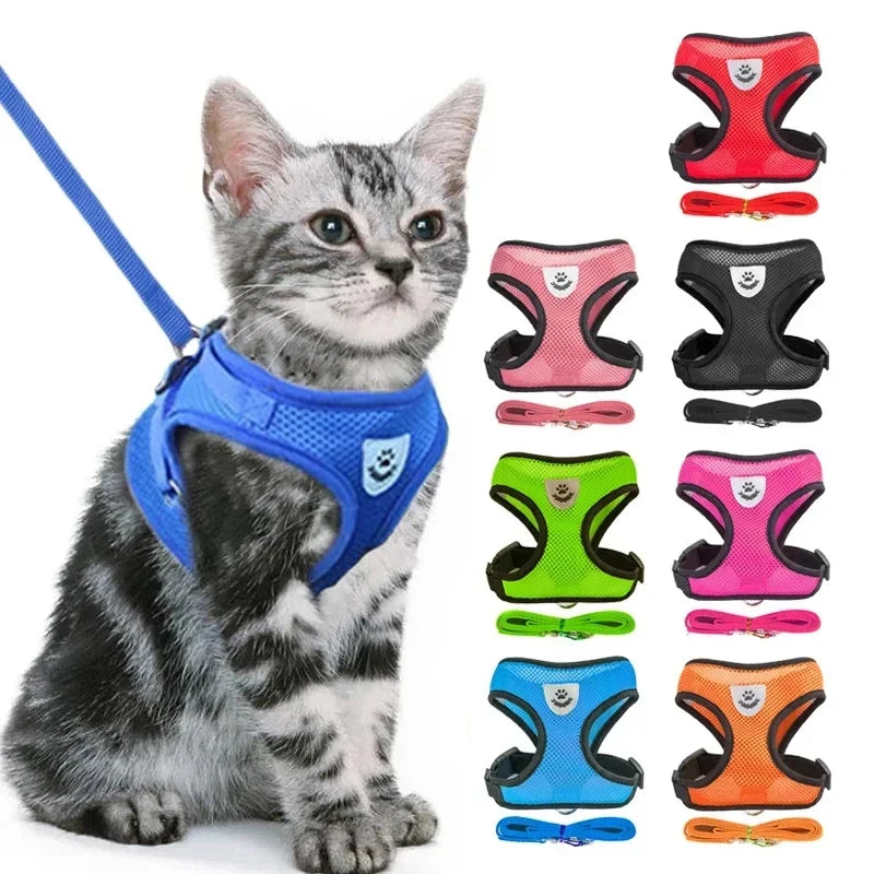 Adjustable Pet Harness with Leash
