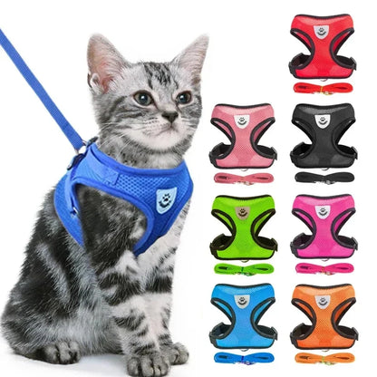Adjustable Pet Harness with Leash