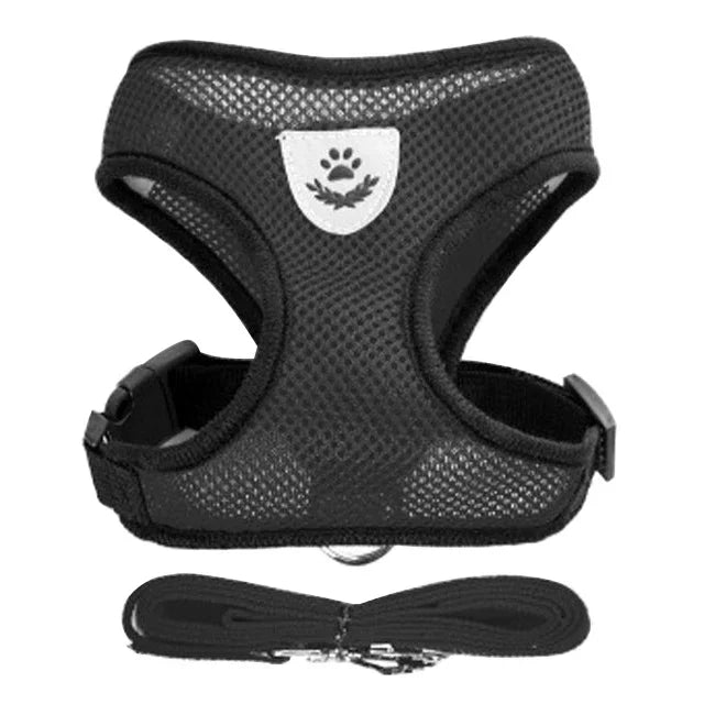 Adjustable Pet Harness with Leash