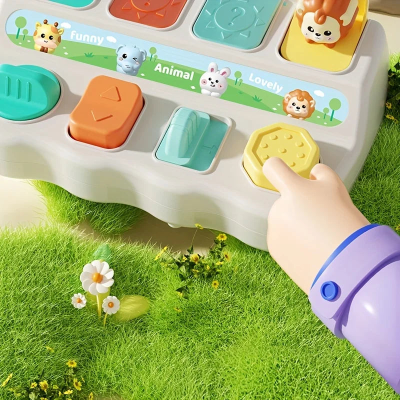 Montessori Animal Toy