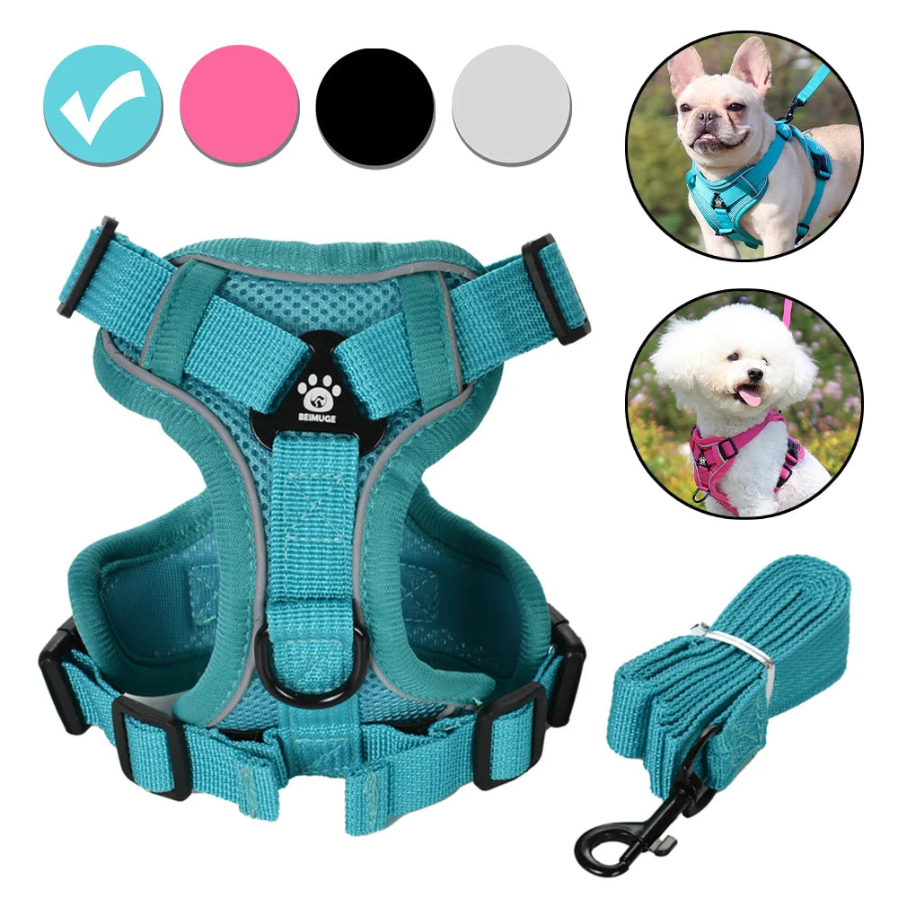 Adjustable Dog Harness Leash Set