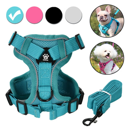 Adjustable Dog Harness Leash Set