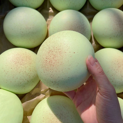 Mochi Squishy Toy