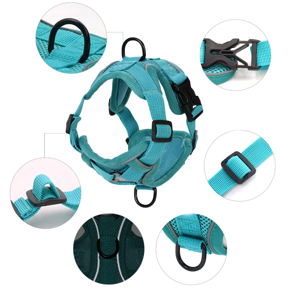 Adjustable Dog Harness Leash Set