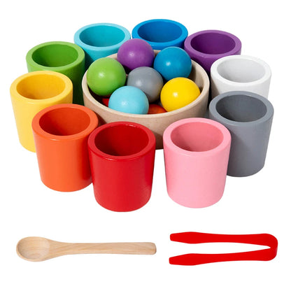 Wooden Color Sorting Toy