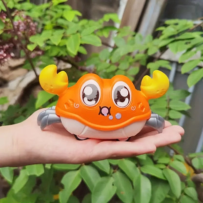 Reversible Crab Toy