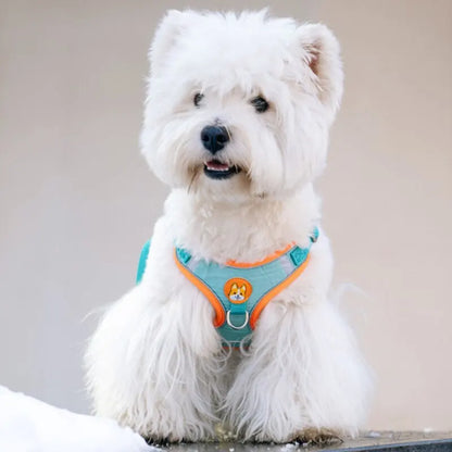 No Pull Dog Harness with Leash