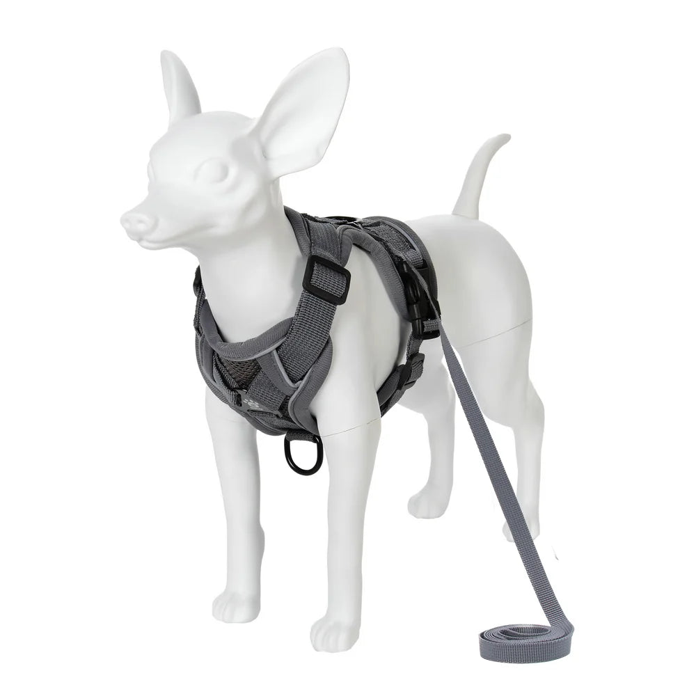 Adjustable Dog Harness Leash Set