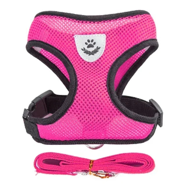 Adjustable Pet Harness with Leash