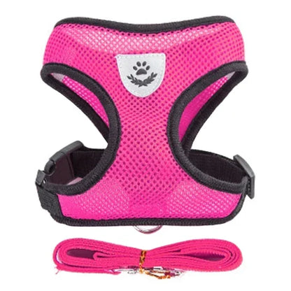 Adjustable Pet Harness with Leash