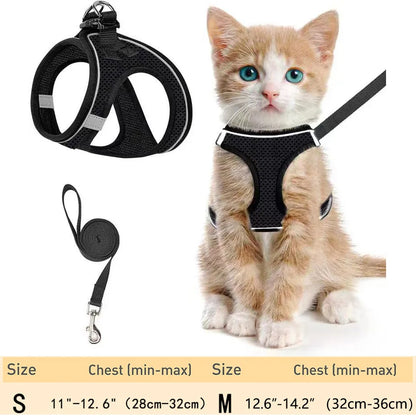 Cat Harness – Adjustable Reflective Harness for Walking