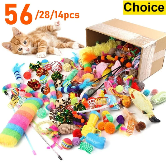 Cat Toy Variety Pack – Plush & Plastic Toys for Multiple Cats