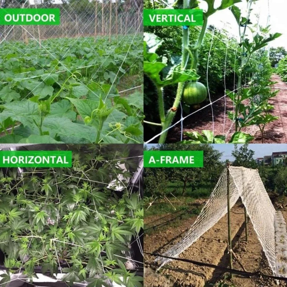 Plant Climbing Net – Garden Trellis Netting for Vining Plants