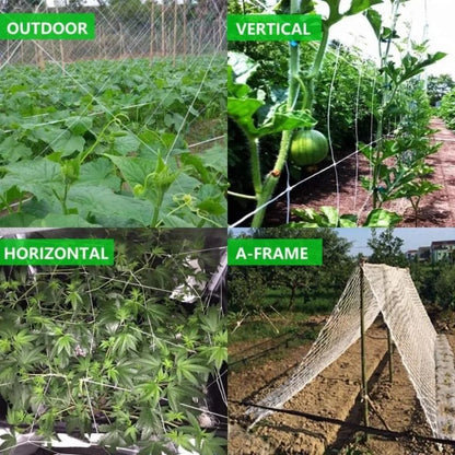 Plant Climbing Net – Garden Trellis Netting for Vining Plants