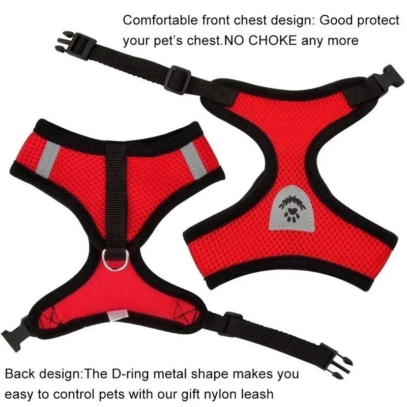 Adjustable Pet Harness with Leash