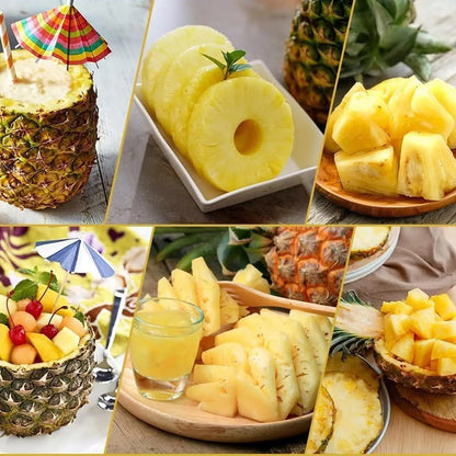 Pineapple Slicer, Stainless Steel Pineapple Corer & Cutter Tool