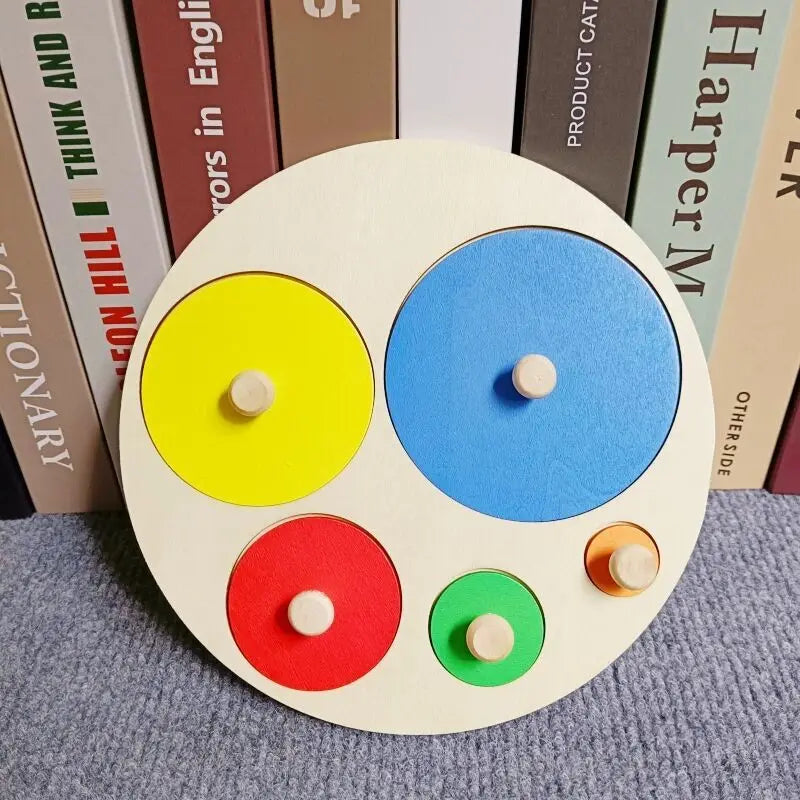 Shape Matching Toy