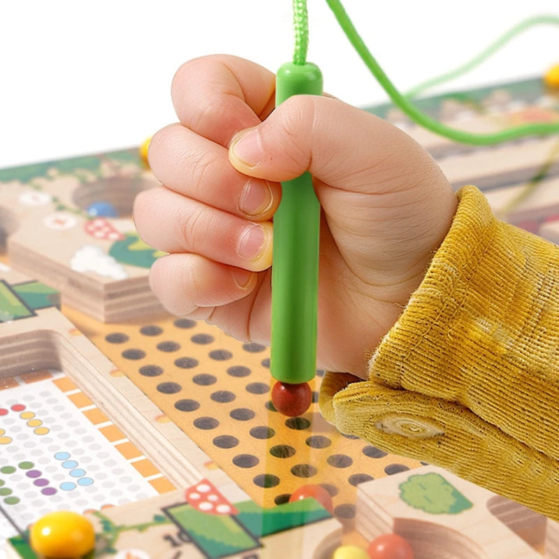 Magnetic Sorting Puzzle – Montessori Maze Learning Toy
