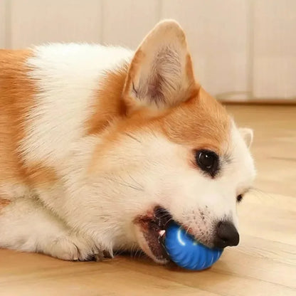 Automatic Dog Ball Toy – Moving & Bouncing Interactive Ball
