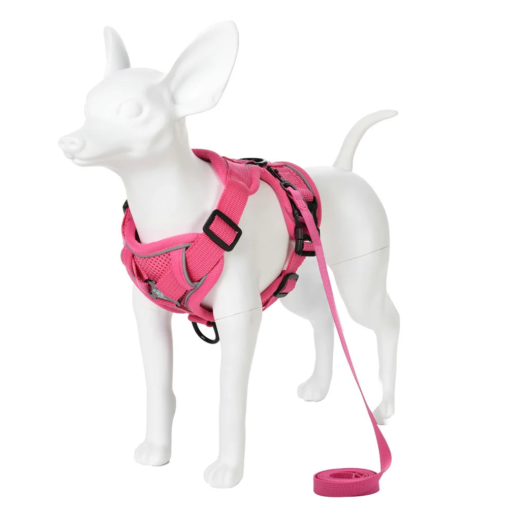 Adjustable Dog Harness Leash Set