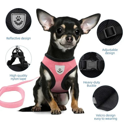 Adjustable Pet Harness with Leash