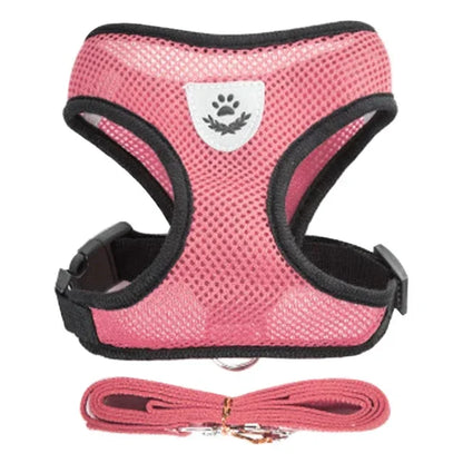 Adjustable Pet Harness with Leash