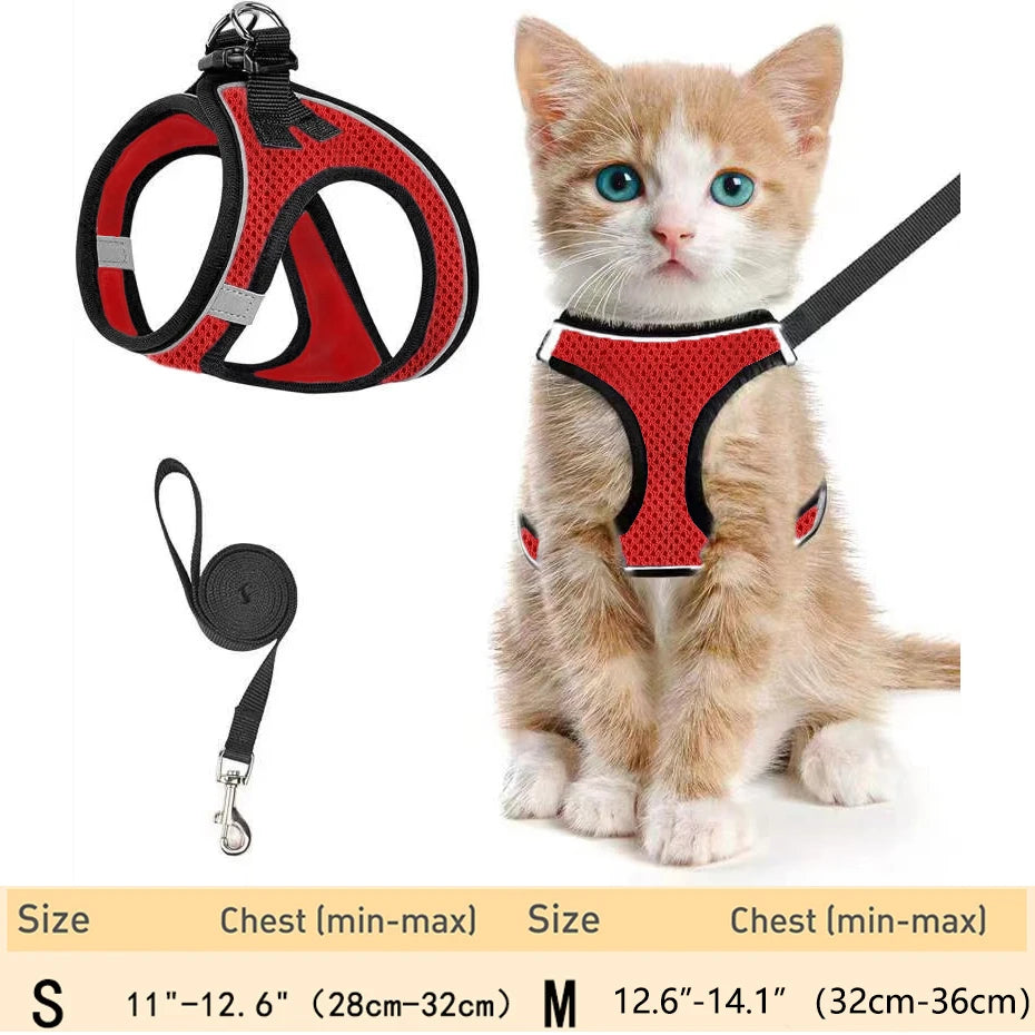 Cat Harness – Adjustable Reflective Harness for Walking