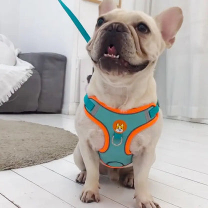 No Pull Dog Harness with Leash