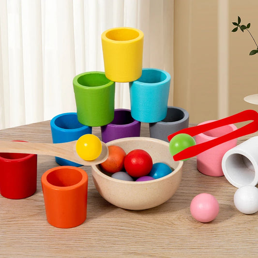 Wooden Color Sorting Toy