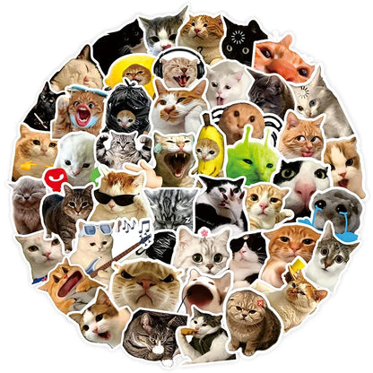 10/50/100pcs Funny Cat Meme Cartoon Stickers Waterproof DIY Laptops Water Bottles Phones Cute Animal Decals Toys Gifts