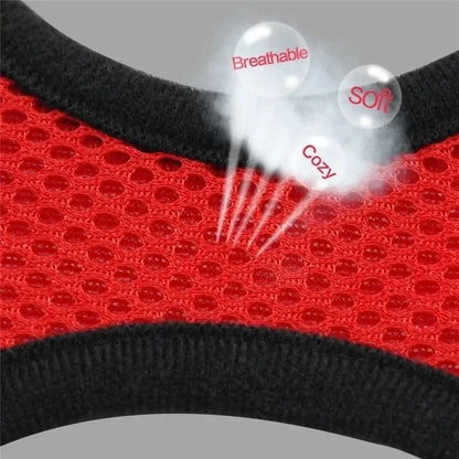 Adjustable Pet Harness with Leash