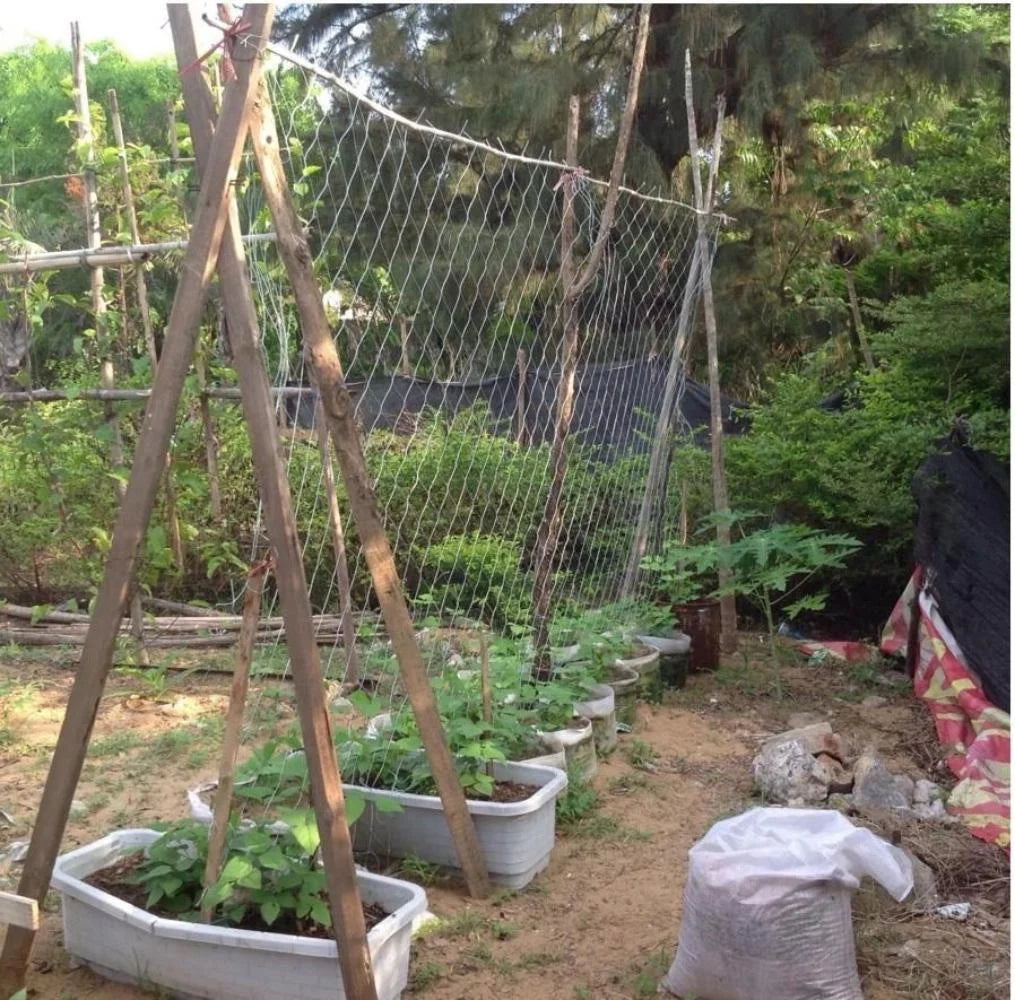Plant Climbing Net – Garden Trellis Netting for Vining Plants