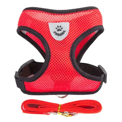 Adjustable Pet Harness with Leash